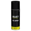 Select Eisspray -SELECT Store S754 001